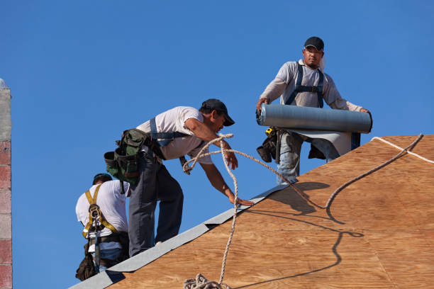 Professional Roofing Contractor in Salado, TX